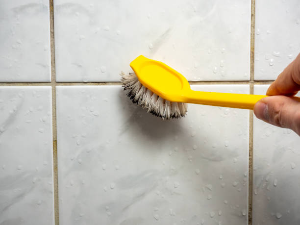 Best Attic Mold Removal  in Bryson City, NC