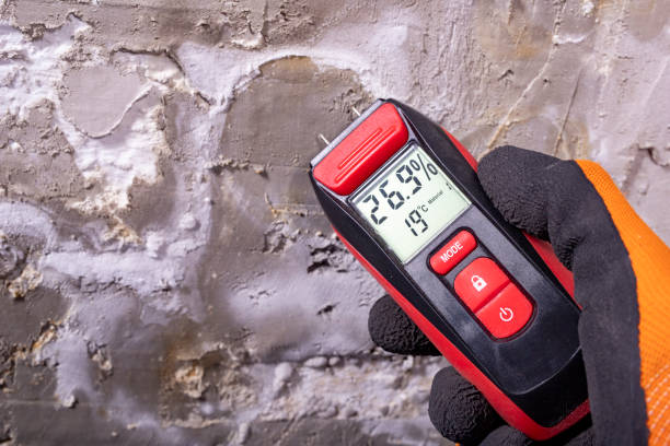 Best Residential Mold Removal  in Bryson City, NC
