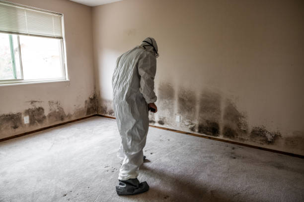 Best Mold Testing  in Bryson City, NC